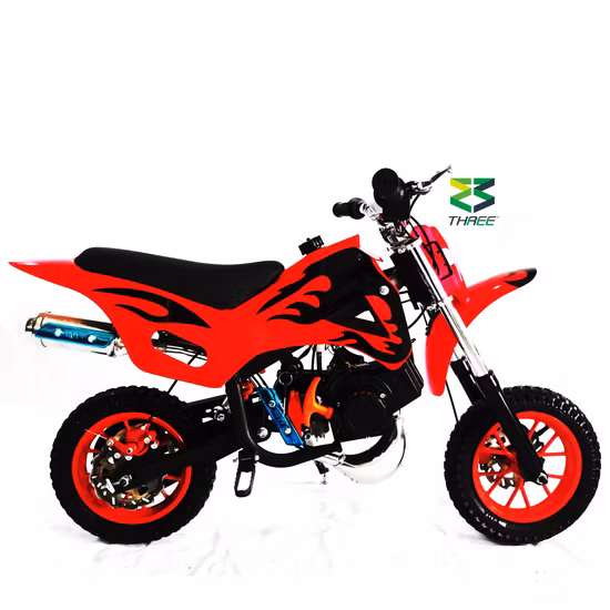 Sro Factory 49cc 2 Stroke Mini off Road Gas Motorbike Dirt Bike for Sale