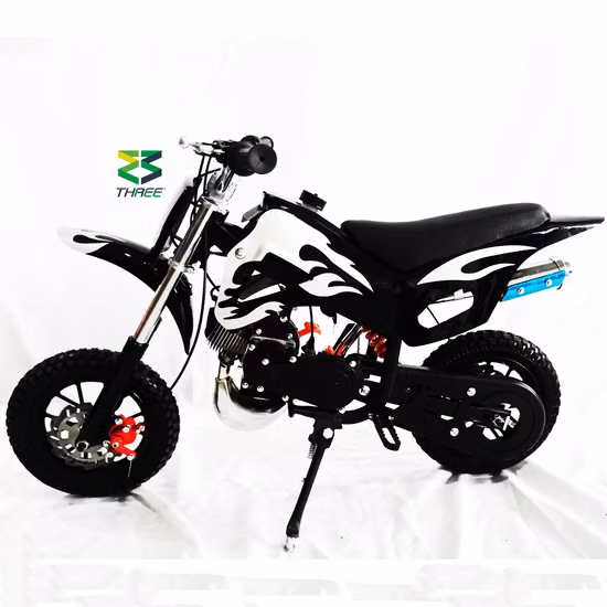 Sro Factory 49cc 2 Stroke Mini off Road Gas Motorbike Dirt Bike for Sale
