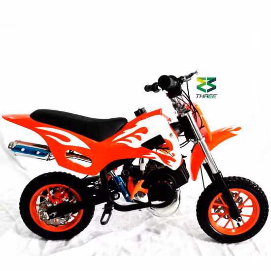Sro Factory 49cc 2 Stroke Mini off Road Gas Motorbike Dirt Bike for Sale