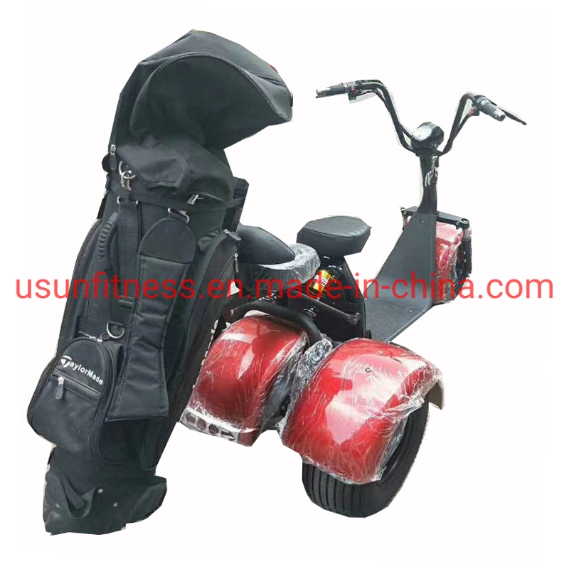 Promotion Hot Sale Luxury 2 Seater Electric Club Car Golf Carts Fat Tire 3 Wheels City Coco Golf Cart Electric Scooter Mobility Scooters for Golf Courses