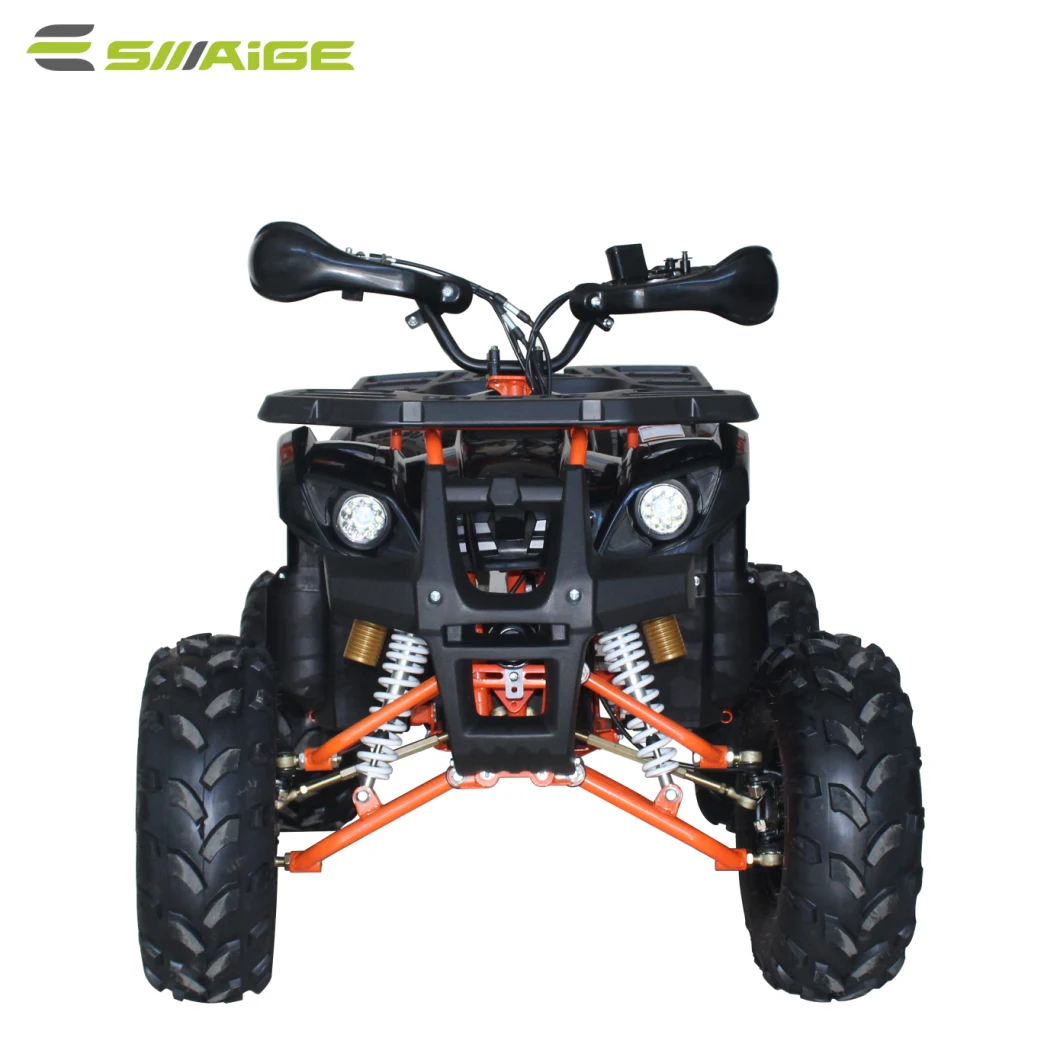 Saige Famous Electric ATV for American Market to Young People