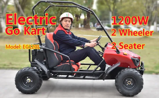 Fournisseur chinois vente à bas prix 60V ferme électrique hors route Go Kart pour enfants adultes avec les meilleurs prix