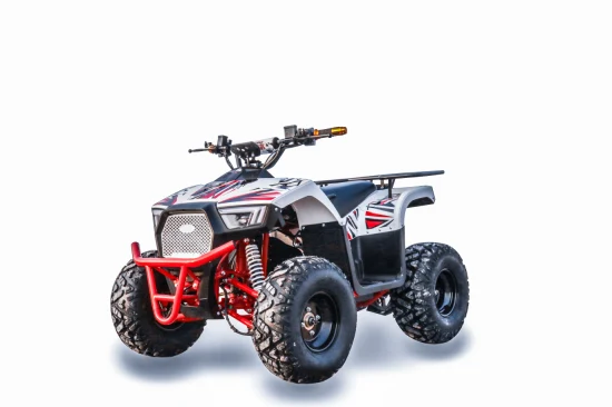 Quad ATV électrique 2022 60V 1000W pour adultes/adolescents