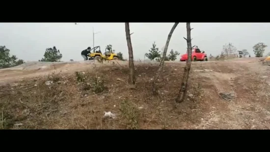 Suyang Best 125/150cc Gaz Mini Beetle Four Wheeler ATV Quad Bike